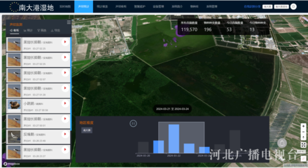 沧州:南大港湿地应用AI声纹监测黑科技“闻声辨鸟”