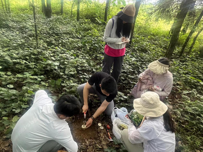 重庆綦江区、梁平区林业生态产品价值核算试点外业工作顺利完成