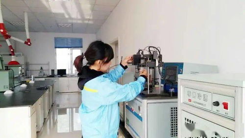 中石油阜新分公司通过生态环保部年度油品风险监测抽查
